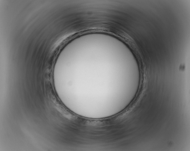 X0000113931019200909250911