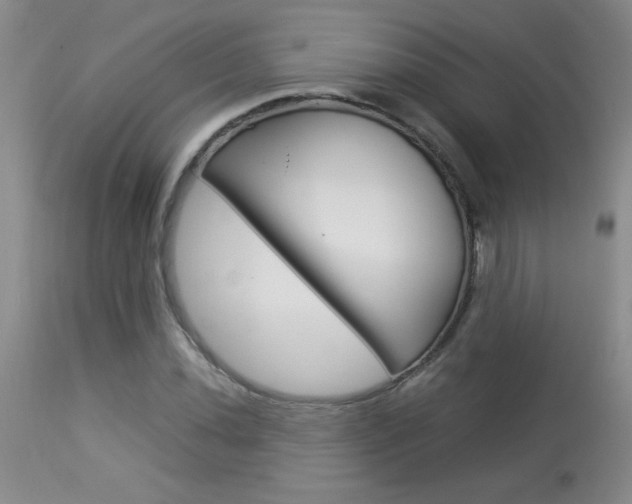 X0000113931020200909250911