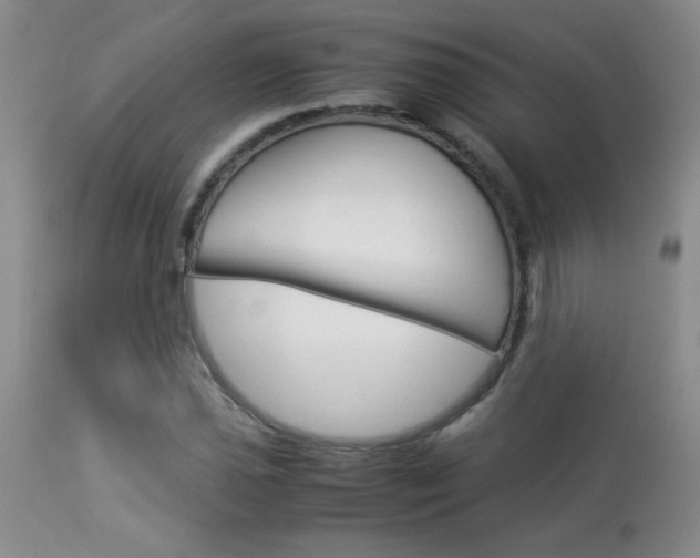 X0000113931021200909250911