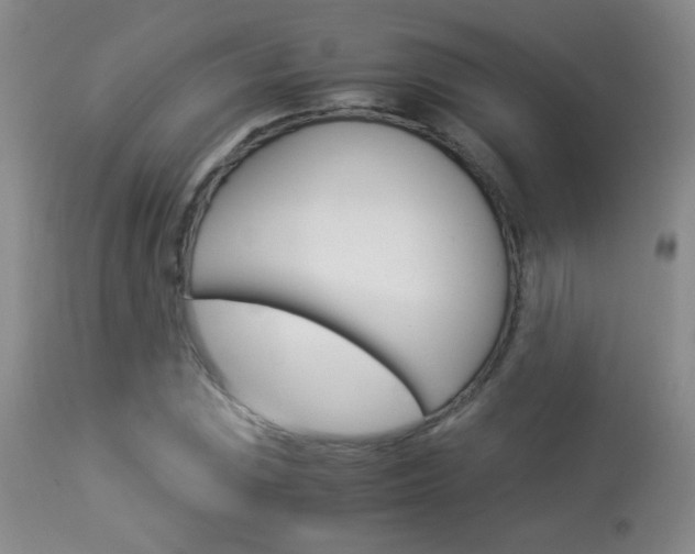 X0000113931023200909250911