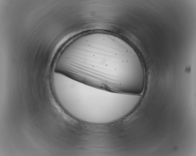 X0000113931024200909250911