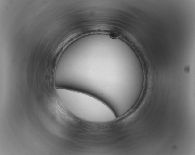 X0000113931025200909250911