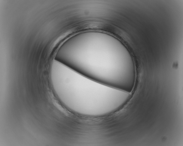 X0000113931026200909250911