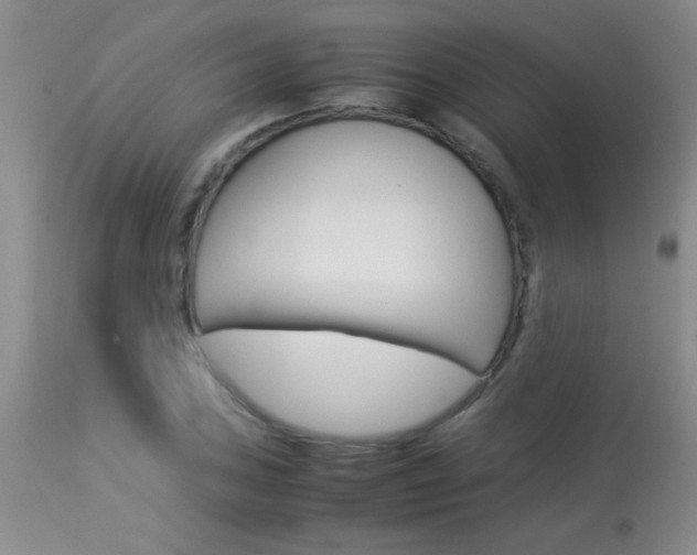 X0000113931027200909250911