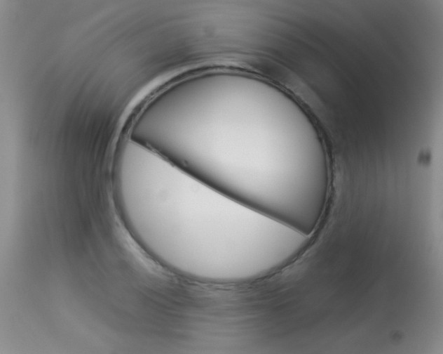 X0000113931028200909250911