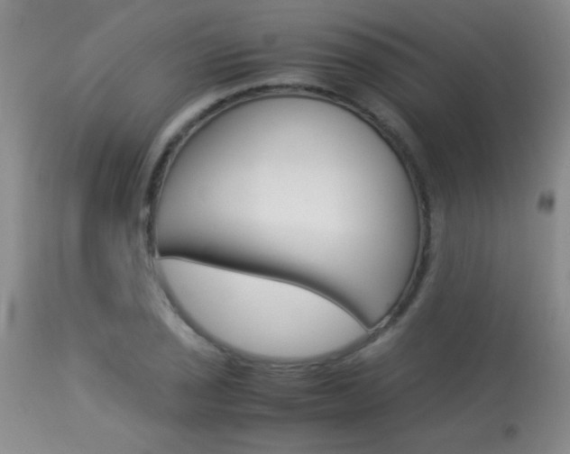 X0000113931029200909250911
