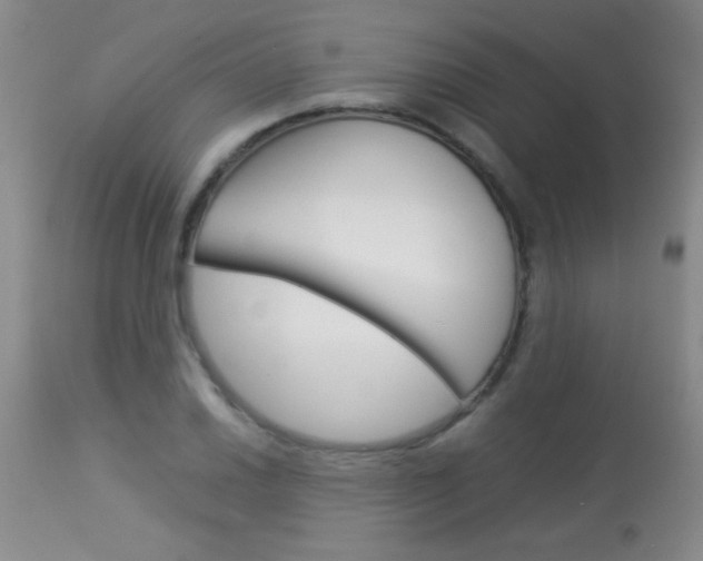 X0000113931030200909250911