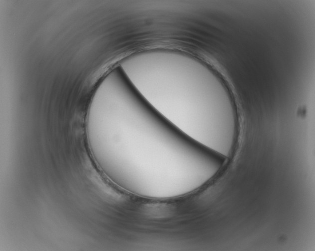 X0000113931033200909250911
