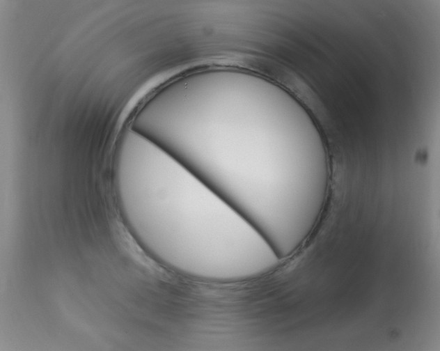 X0000113931036200909250911