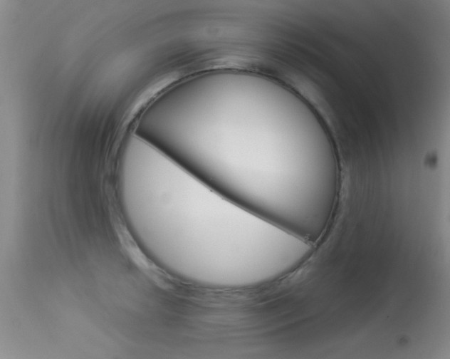X0000113931042200909250911