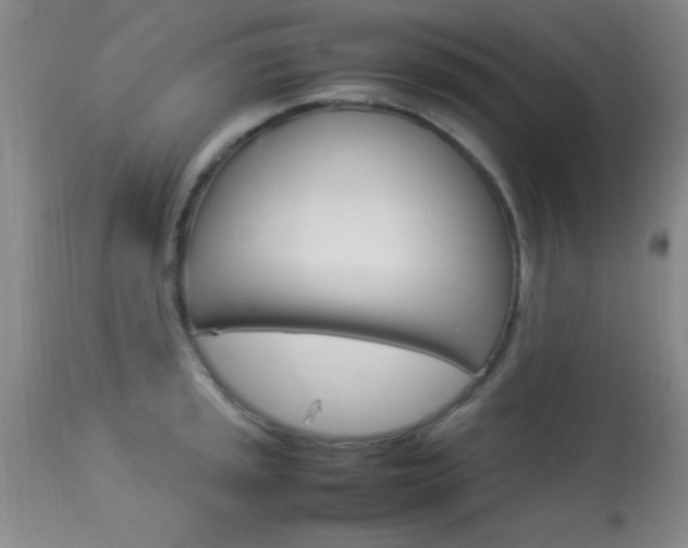 X0000113931045200909250911