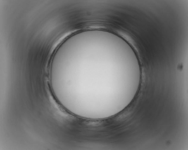 X0000113931047200909250911