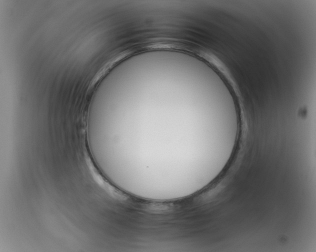 X0000113931049200909250911