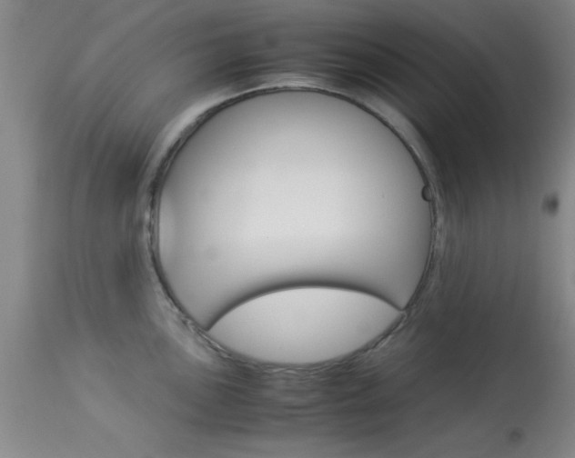 X0000113931051200909250911