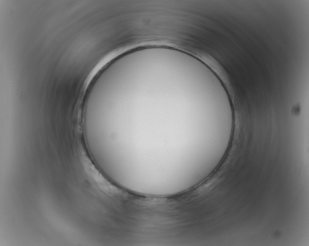 X0000113931052200909250911