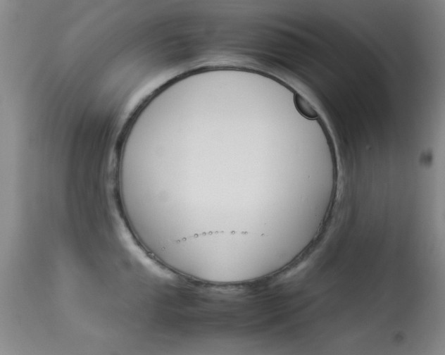 X0000113931053200909250911