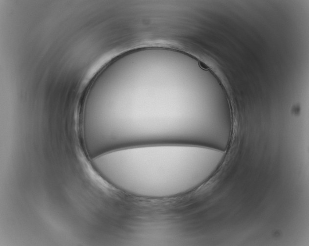 X0000113931054200909250911