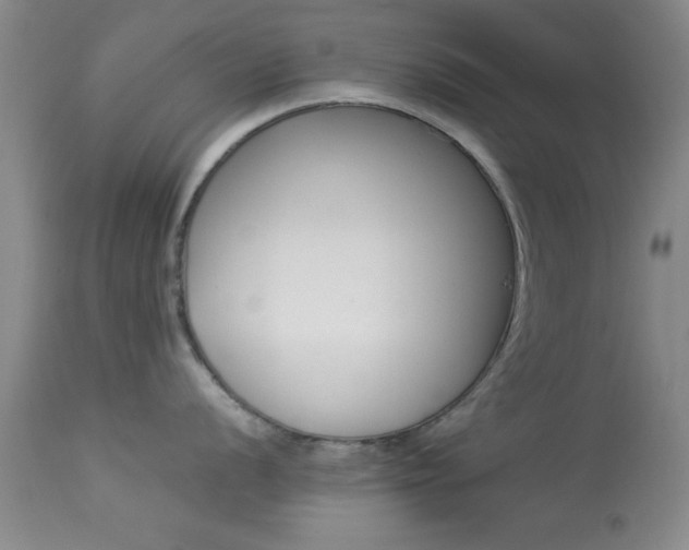 X0000113931056200909250911