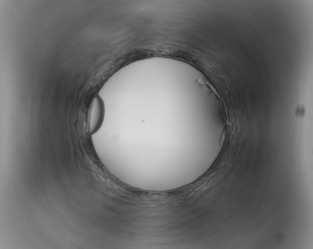 X0000113931058200909250911
