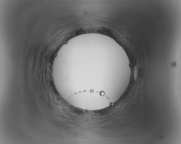 X0000113931059200909250911