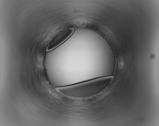X0000113931060200909250911