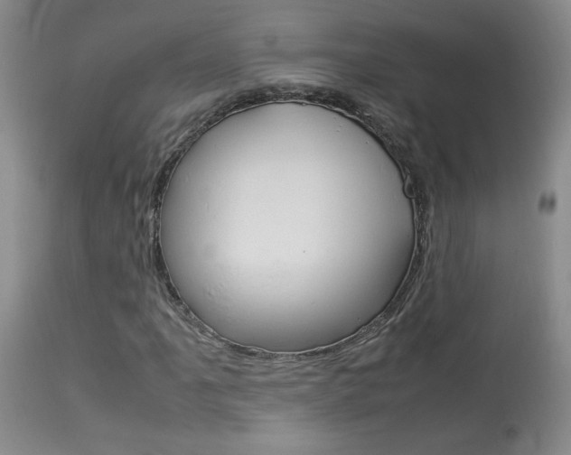X0000113931061200909250911