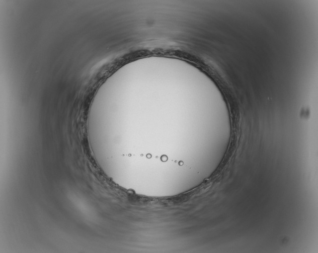 X0000113931063200909250911