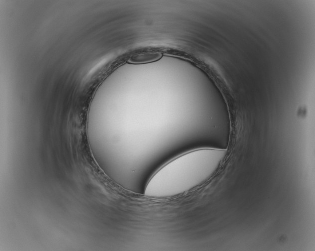 X0000113931064200909250911
