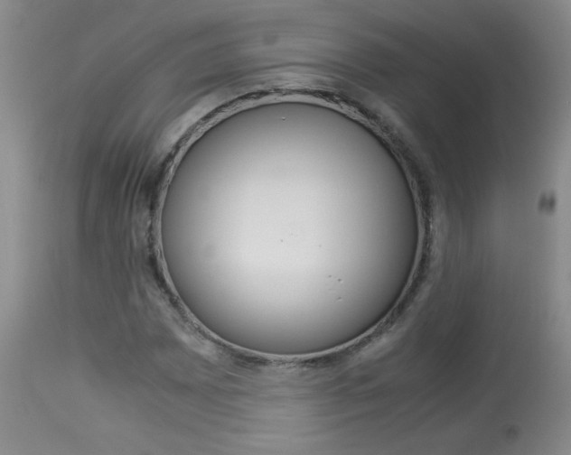 X0000113931065200909250911