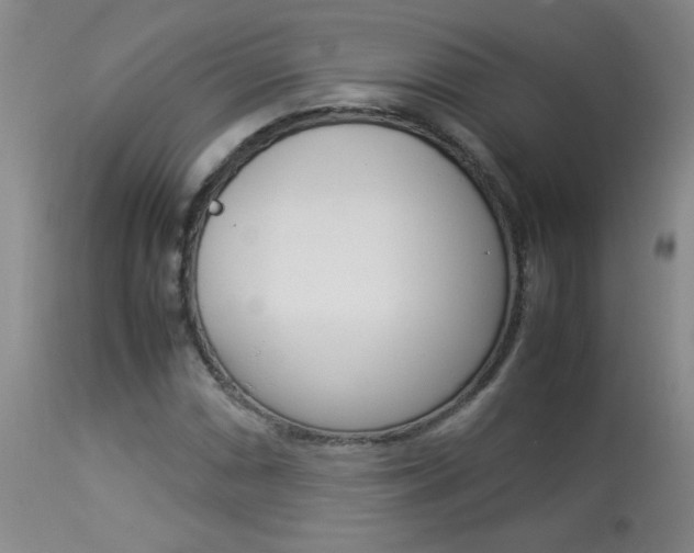 X0000113931066200909250911