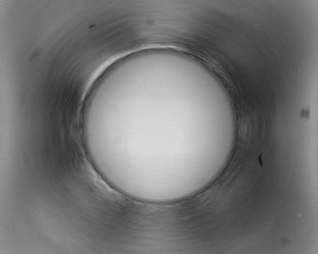 X0000113931068200909250910