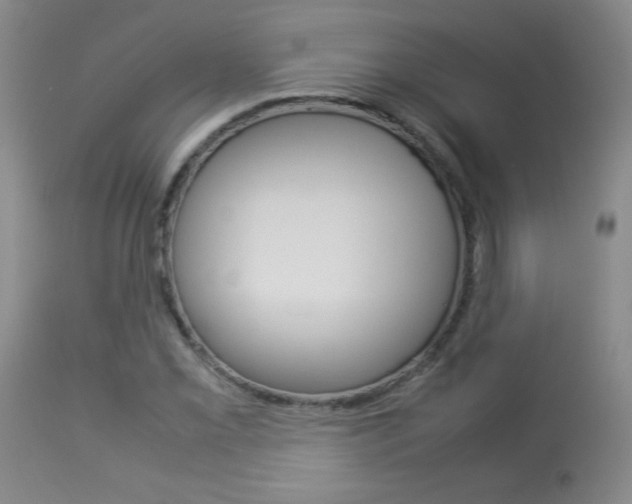 X0000113931069200909250910