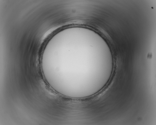 X0000113931070200909250910