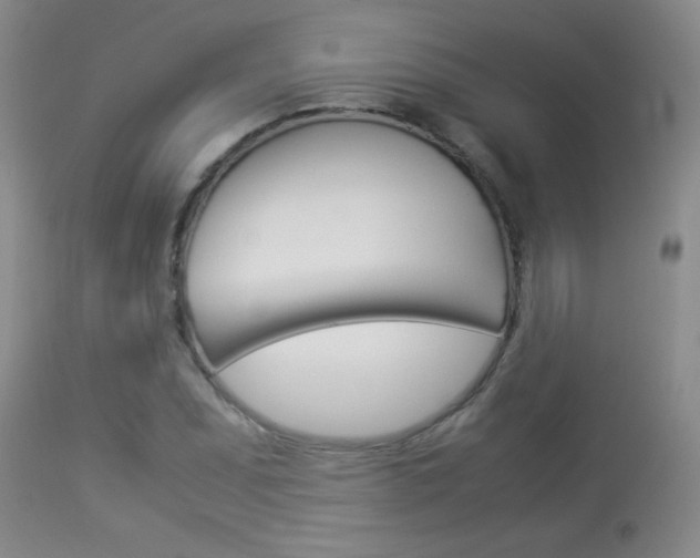X0000113931071200909250910