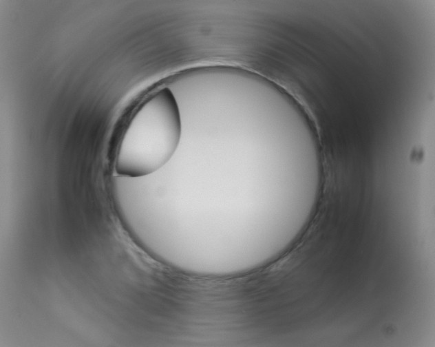 X0000113931072200909250910