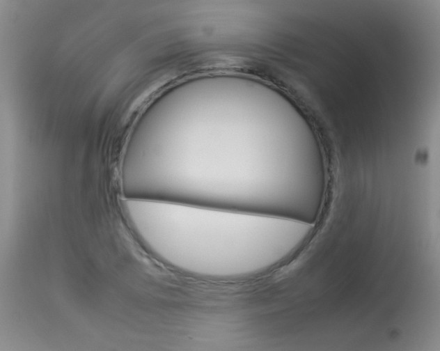 X0000113931073200909250910