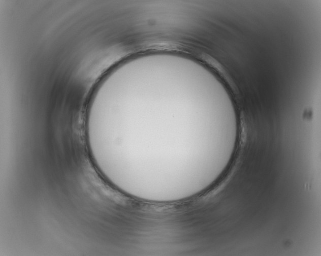 X0000113931074200909250910