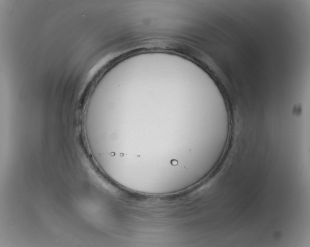X0000113931075200909250910
