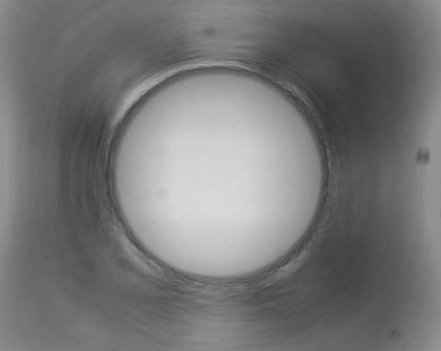 X0000113931077200909250910