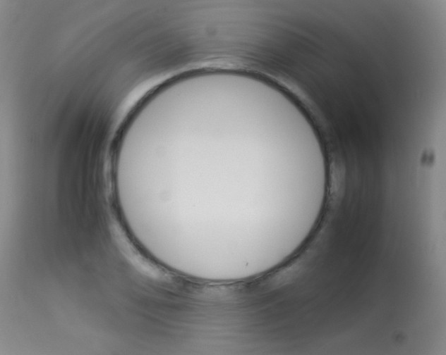 X0000113931078200909250910