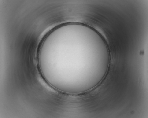 X0000113931080200909250910