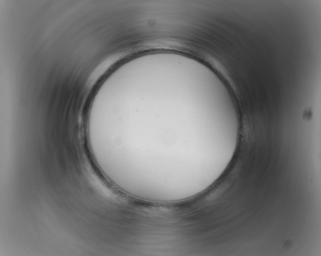 X0000113931082200909250910