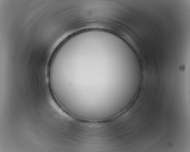 X0000113931084200909250910
