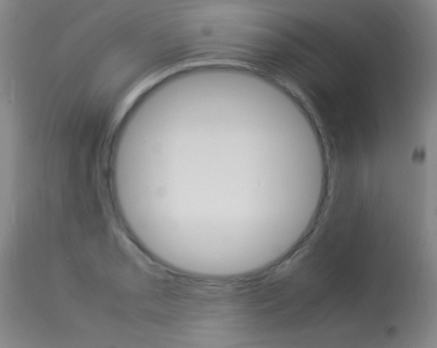 X0000113931085200909250910