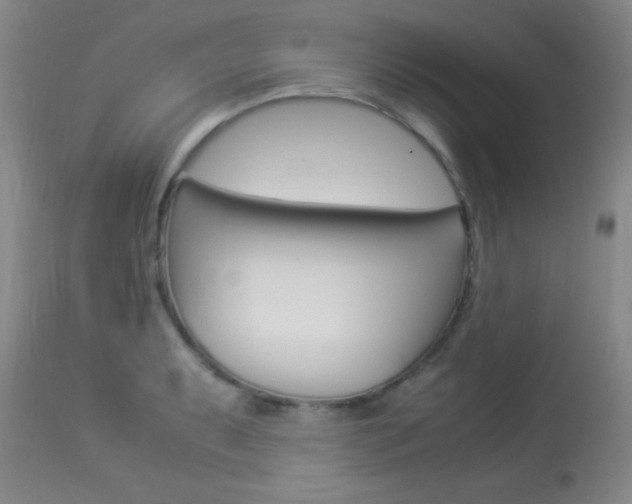 X0000113931087200909250910