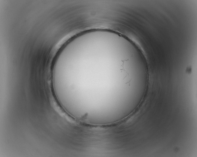 X0000113931088200909250910