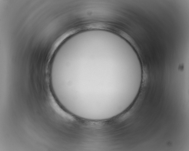 X0000113931090200909250910
