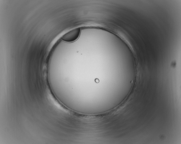 X0000113931092200909250910