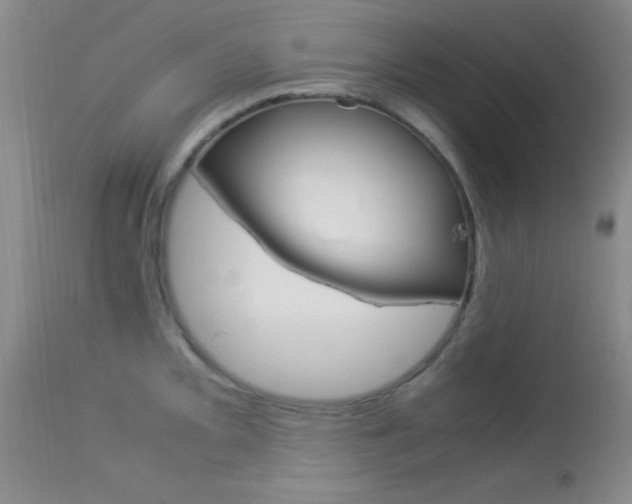 X0000113931093200909250910