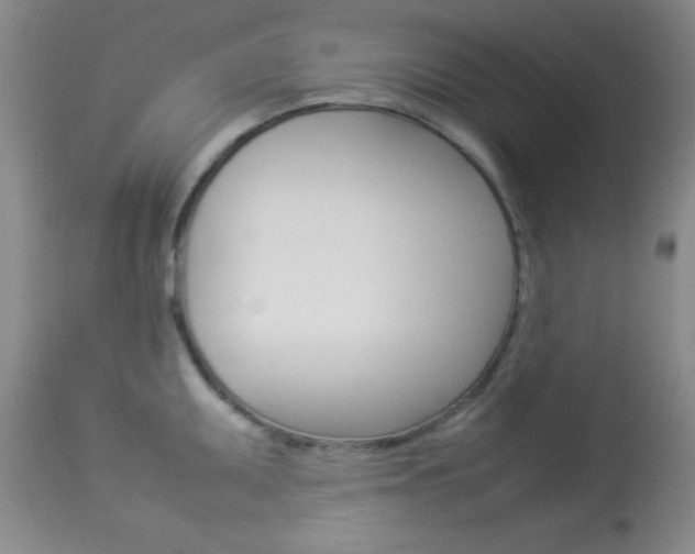 X0000113931095200909250910